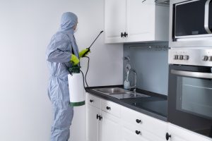 The Role of Pest Control Professionals