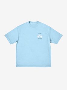 Beyond Fashion: The Impact of Role Model Merchandise on Society