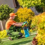 Choosing the Best Mulch for Your Landscaping Needs